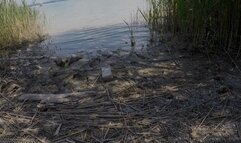 The dirty feet (2018) (MP4)