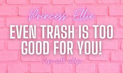Even Trash is Too Good For You!