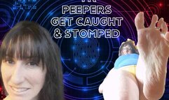 Peepers get caught AND crushed!! 4K wmv