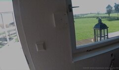 Masturbating behind the house (2018) (MP4)