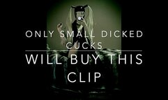 Only Small Dicked Loser Cucks Will Buy This - SPH