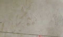 Taking the Wagon to the Pool