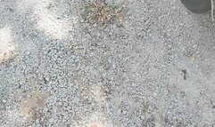 Showing the Valiant to a Potential Buyer