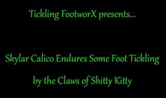 Skylar Calico Endures Some Foot tickling At The Claws Of Kitty