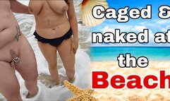 Nude in Chastity Cage at the Public Beach! Humiliating my Femdom Slave Outdoors