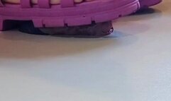 Medusa and her barbie sandals 1080p