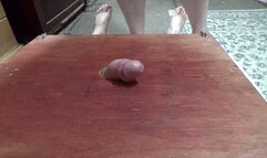 NEW CAM 1 PART 1 HARD CLOGS AND SCHOLLS FULL WEIGHT COCK CRUSH w BAREFOOT HAPPY ENDING