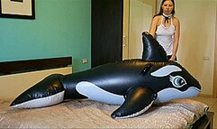 Housemaid pop and deflate big inflatable whale Full HD