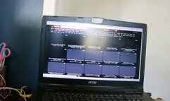 Little Misty Needs Homework Help