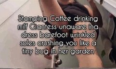 Mkv Stomping Coffee drinking milf Giantess unaware ina dress barefoot wrinkled soles crushing you like a tiny bug in her garden