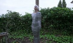 The Spain Files - Pole Mummification for sexy Stardust - Full Clip mp4 HD