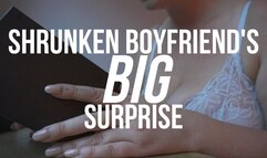 Shrunken Boyfriend's Big Surprise