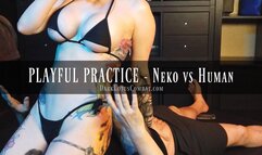 PLAYFUL PRACTICE - Irene vs Jasper