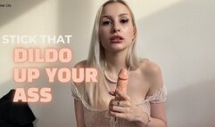 Stick That Dildo Up Your Ass (Make Me Bi)