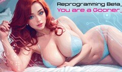 Reprogramming Beta - You are a Gooner