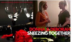DEBORAH AND DONNA BEWITCHING SNEEZES LIKE SABRINA AND SAMANTHA (Standard version)