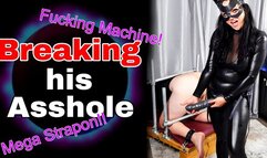 Breaking in my Slave Husband's Asshole - Fucking Machine & Pegging Huge Toys