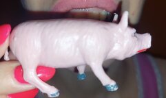 I lick a pig