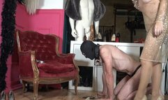 MISTRESS LILY DUPONT : ADORE MY COLLANT