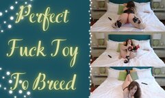 Perfect Fuck Toy To Breed (1080 MP4)