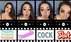 Begging Dumb Cock Slut (480MP4)