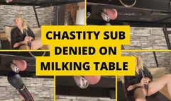 Chastity sub denied on milking table
