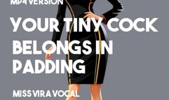 MP4 VERSION ABDL ASMR POV AUDIO: Your tiny cock belongs in padding