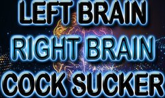 LEFT BRAIN RIGHT BRAIN COCK SUCKER