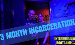 Three month incarceration mp4