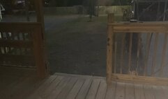 Payback Pee Desperation and Diapering for Roomie