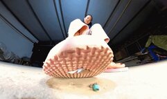 ANNA Herringbone Drag Rolling Dwarf 360VR