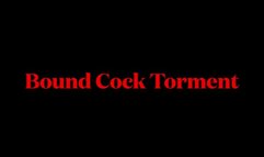 Cock Bondage Torment- wmv