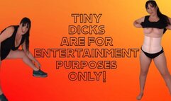 Small Dicks are for Entertainment Purposes ONLY wmv