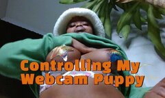Cam Show: Controlling My Webcam Puppy
