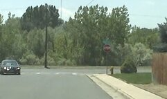 Cocksucking blonde takes on a stud's cock in a car