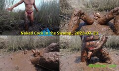 Naked Cock in the Swamp, 2022-07-21