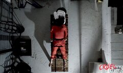 Her Prisoner Part 12 - Chained & Interrogated