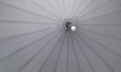 ZIPPERING THREE COATS (c)