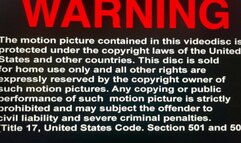 Soles On Cell - Kitty Kat