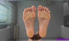 High Arches on Glass - HD MP4