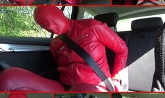 Seat belts and handcuffs 15