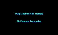My Personal Trampoline