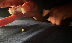 Giantess Cirilla - Fingering a Fan