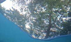 Tiny Human Swimming with two Giantesses POV 4k