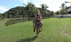 My Little Pet Mare - Full Version ## Newmfx 2023 ##