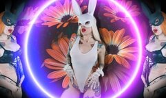 Aromatic spring Bunny Jerk off - JOI, AROMA