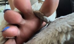 Tiny is coming with me