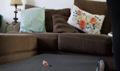 Disappointing me in the cockbox