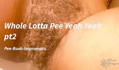Whole Lotta Pee Yeah Yeah pt 2