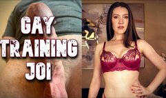 Gay Training JOI